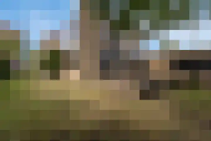 Kerkstraat 18 Best thumbnail 48
