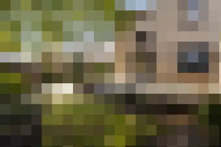 Kerkstraat 18 Best thumbnail 51