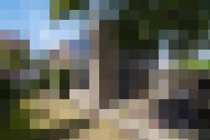 Kerkstraat 18 Best thumbnail 52