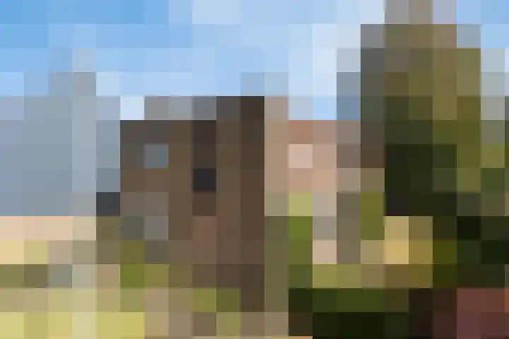 Kerkstraat 18 Best thumbnail 55