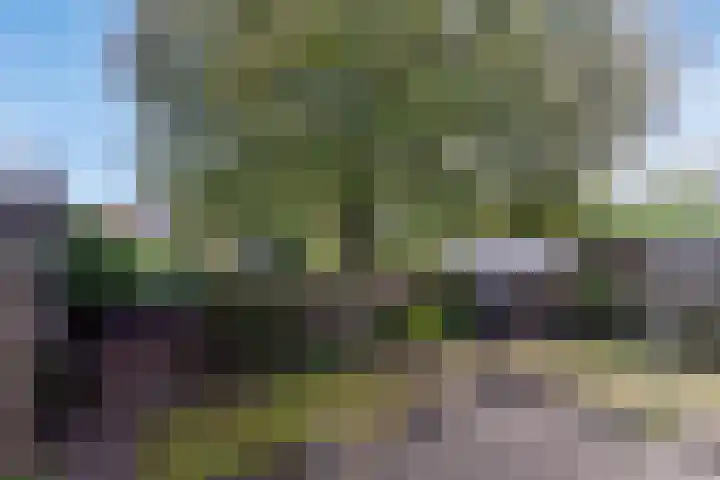 Kerkstraat 18 Best thumbnail 57