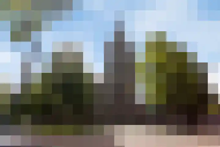 Kerkstraat 18 Best thumbnail 58