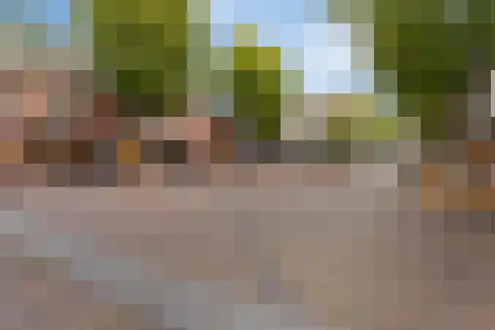 Kerkstraat 18 Best thumbnail 59