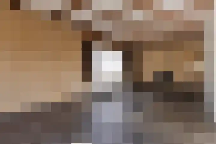 Kerkstraat 18 Best thumbnail 9
