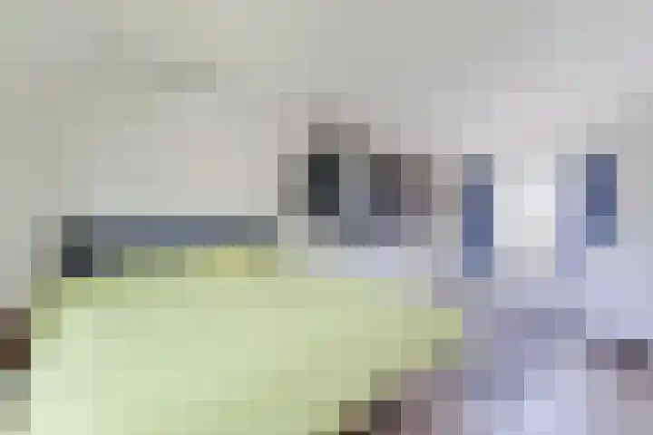 Kerkstraat 18 De Meern thumbnail 28