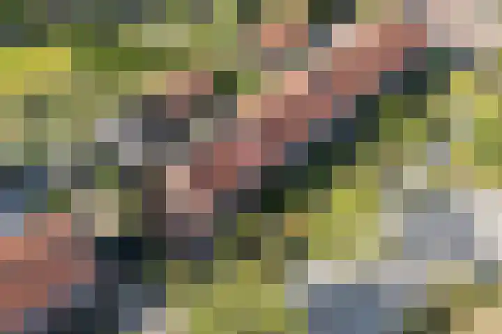 Kerkstraat 18 De Meern thumbnail 39