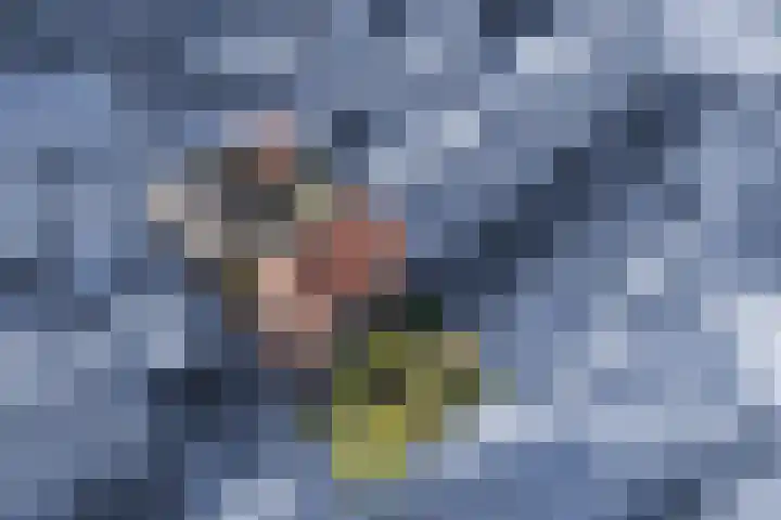 Kerkstraat 18 De Meern thumbnail 4
