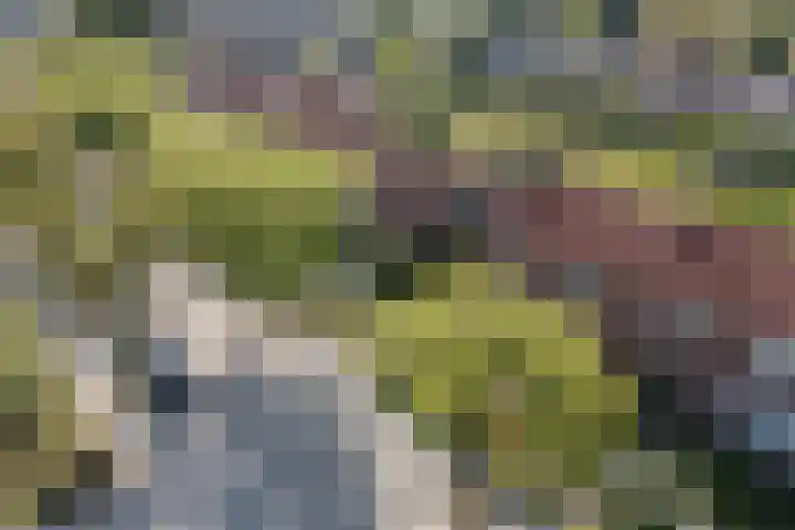 Kerkstraat 18 De Meern thumbnail 47