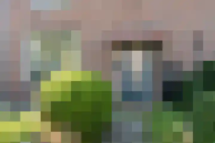 Kerkstraat 18 De Meern thumbnail 51