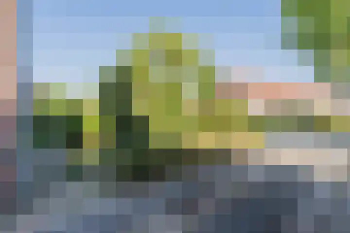 Kerkstraat 18 De Meern thumbnail 52