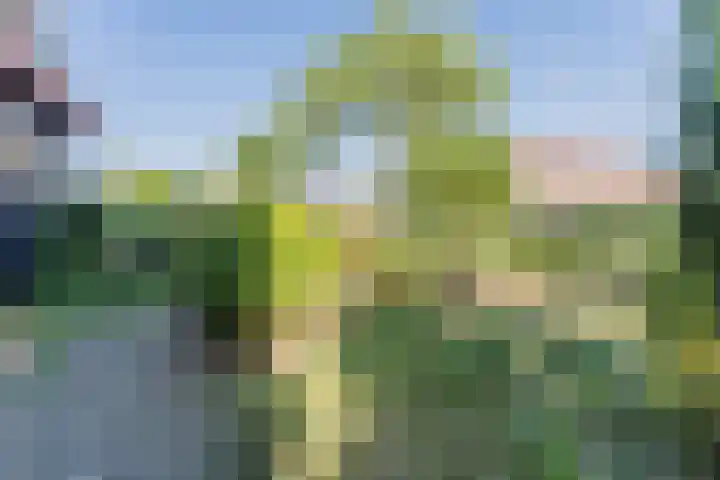 Kerkstraat 18 De Meern thumbnail 53
