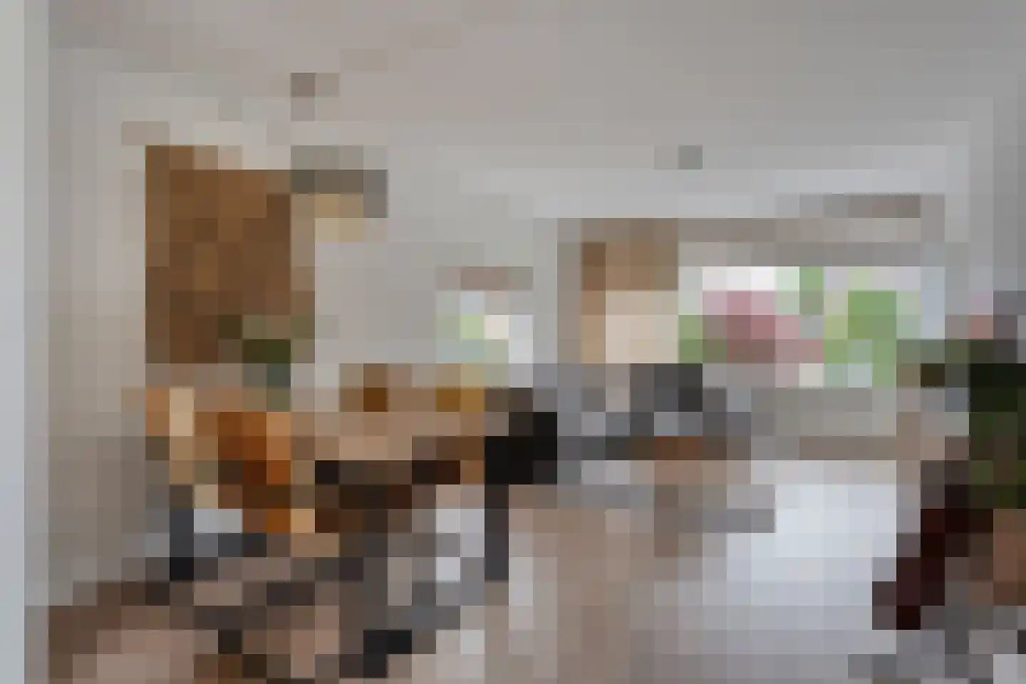 Kerkstraat 18 Dedemsvaart thumbnail 10