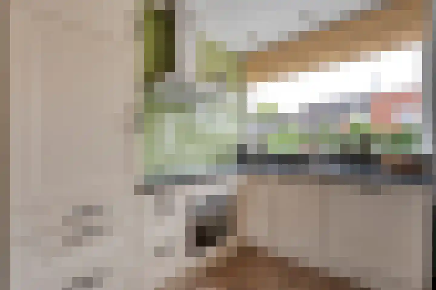 Kerkstraat 18 Dedemsvaart thumbnail 12