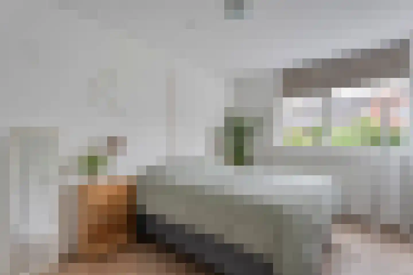 Kerkstraat 18 Dedemsvaart thumbnail 17