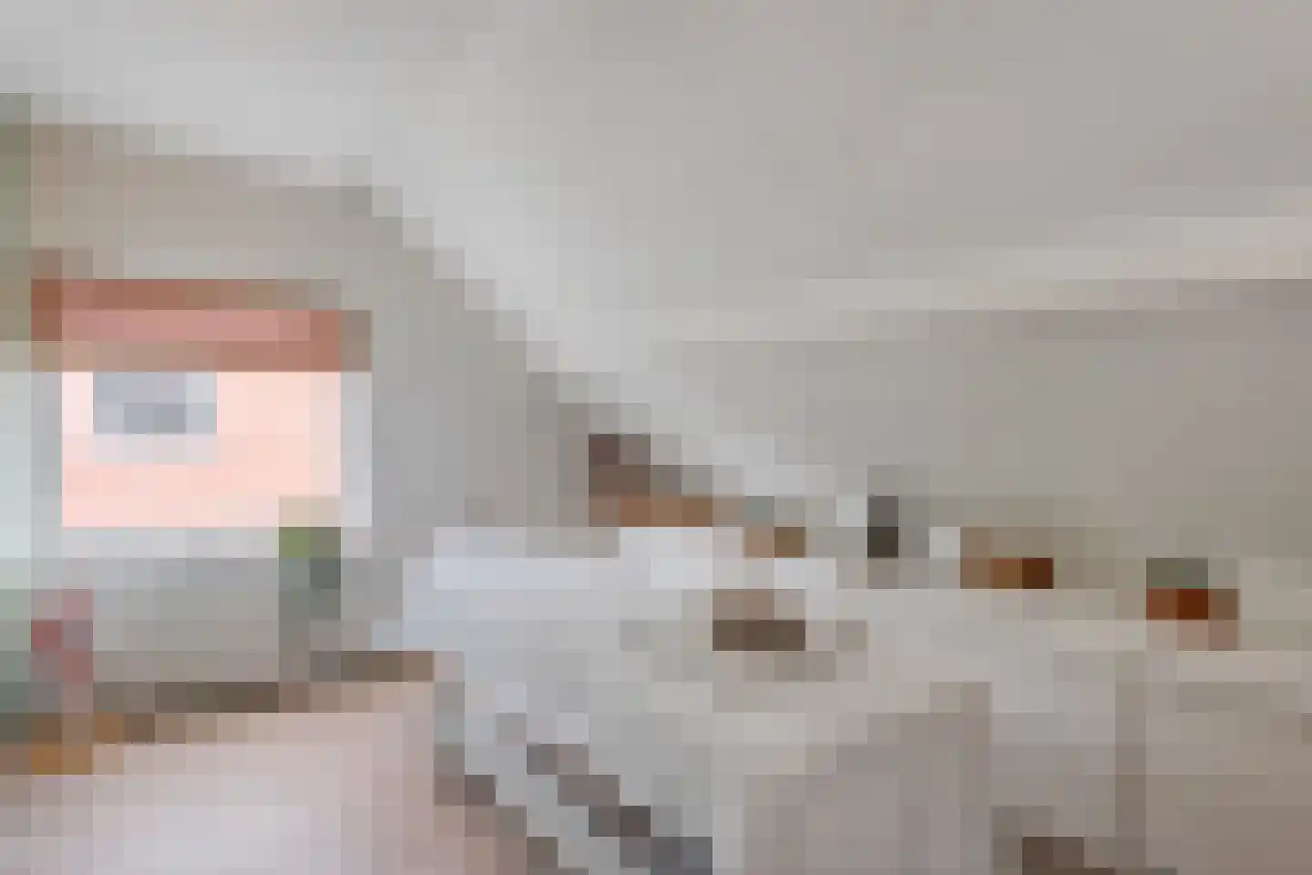 Kerkstraat 18 Dedemsvaart thumbnail 27