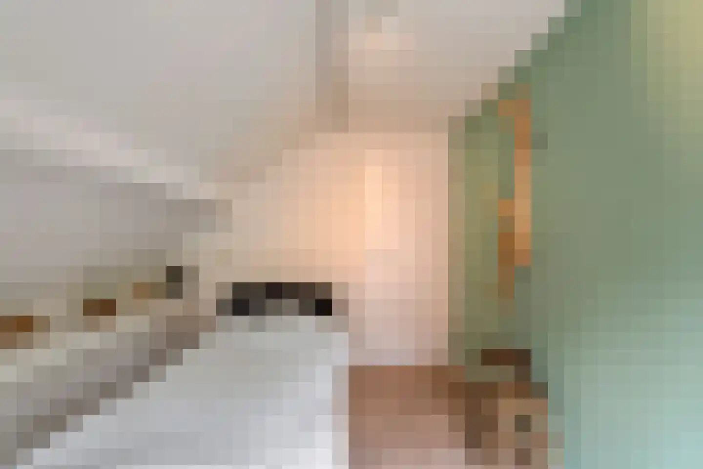 Kerkstraat 18 Dedemsvaart thumbnail 28