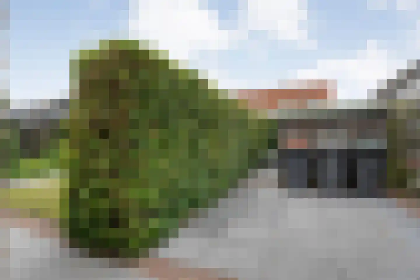 Kerkstraat 18 Dedemsvaart thumbnail 36