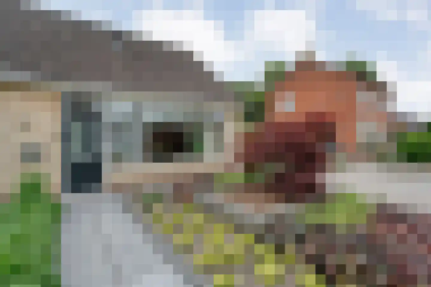 Kerkstraat 18 Dedemsvaart thumbnail 39