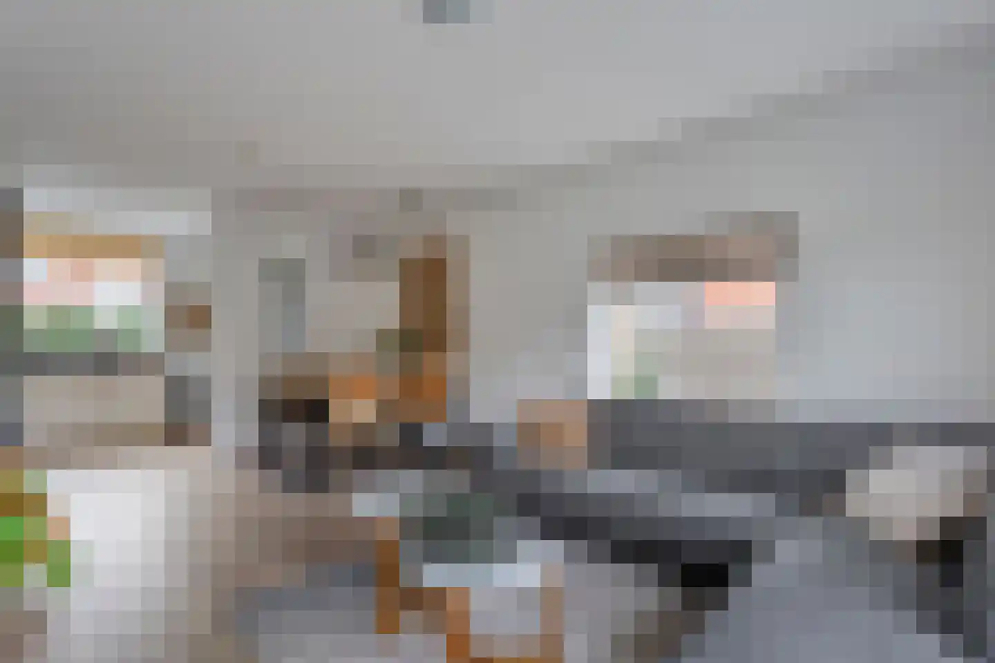 Kerkstraat 18 Dedemsvaart thumbnail 6