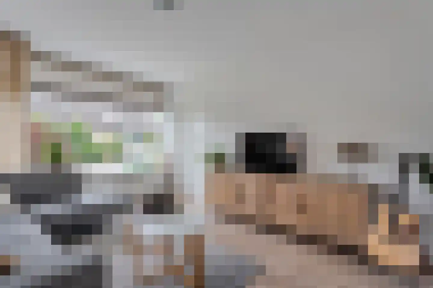 Kerkstraat 18 Dedemsvaart thumbnail 8