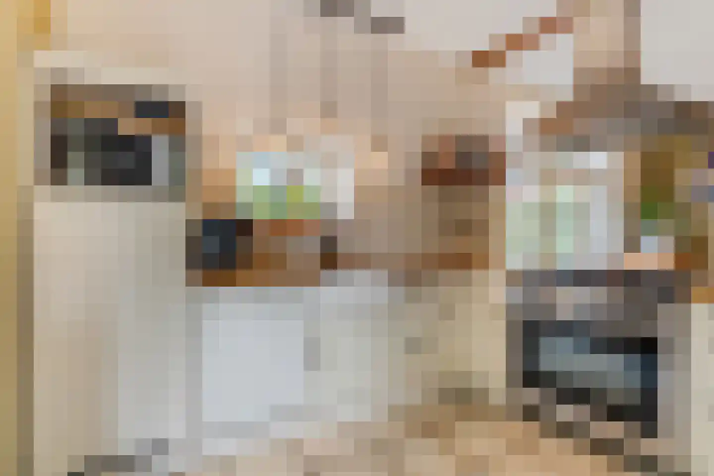 Kerkstraat 18 Doornenburg thumbnail 16