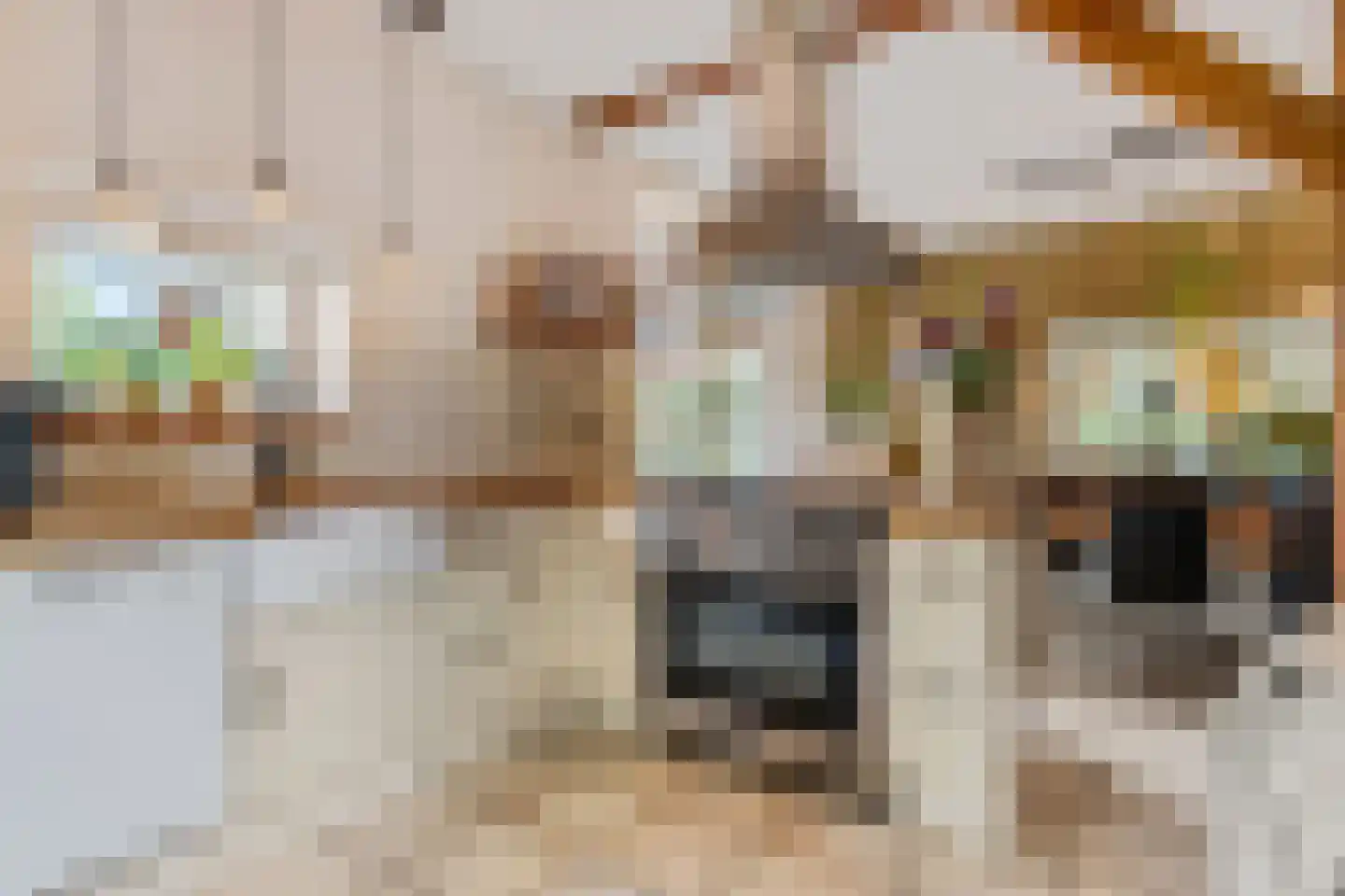 Kerkstraat 18 Doornenburg thumbnail 18