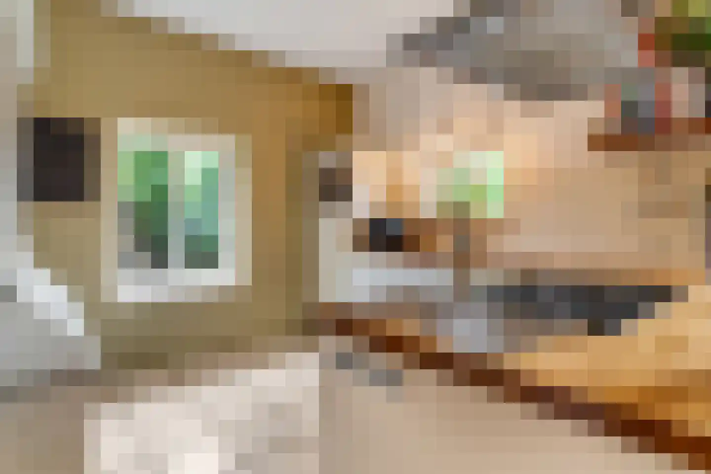 Kerkstraat 18 Doornenburg thumbnail 19