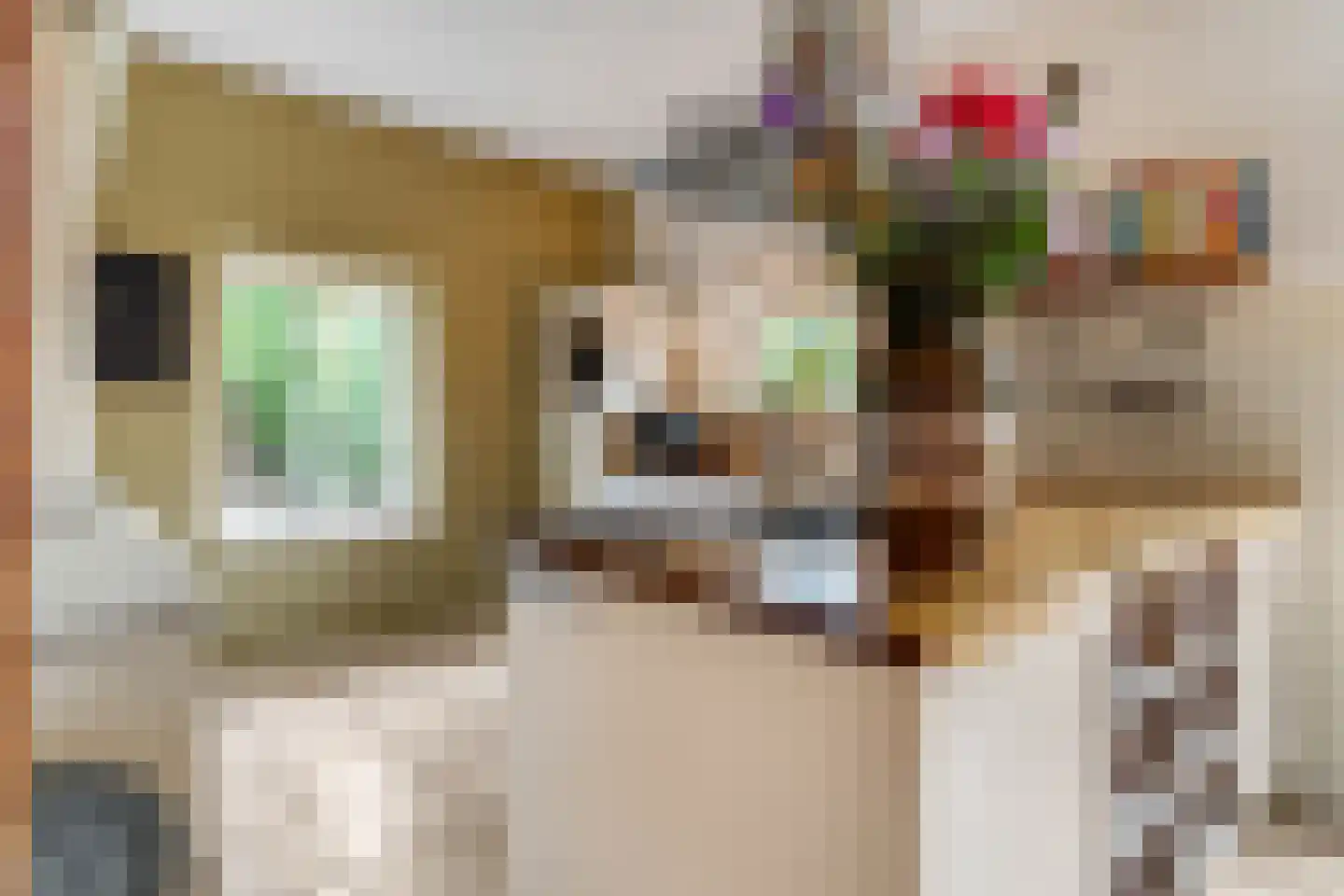 Kerkstraat 18 Doornenburg thumbnail 21