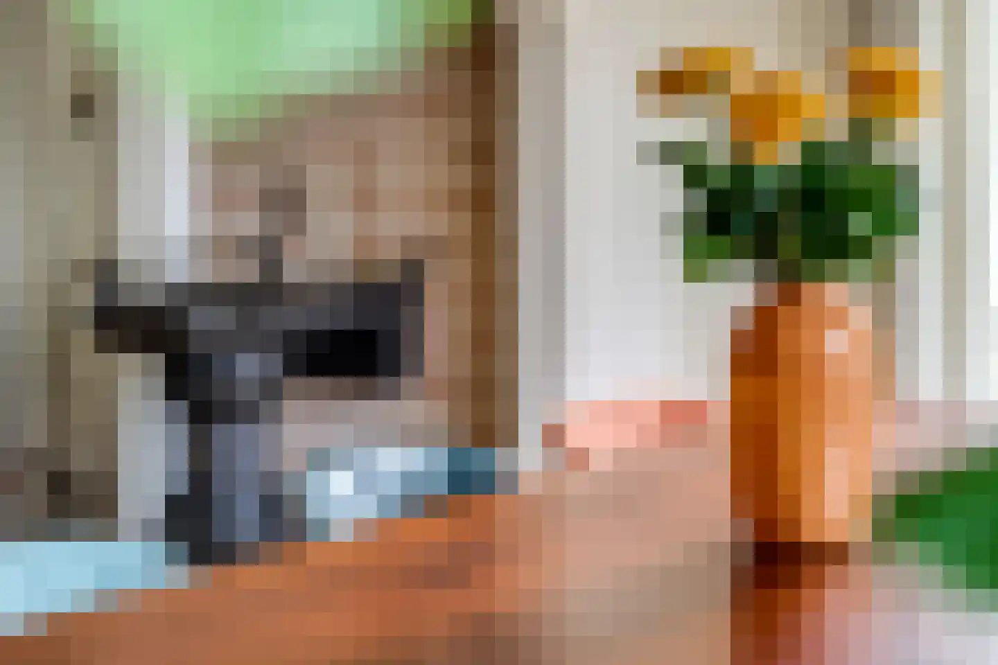 Kerkstraat 18 Doornenburg thumbnail 27
