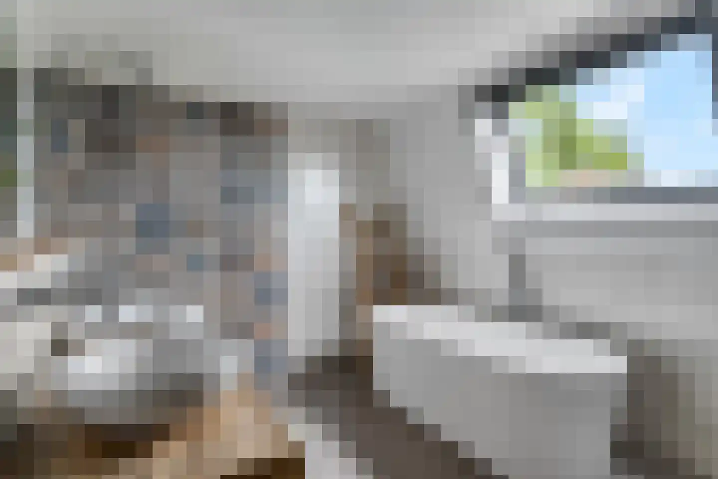 Kerkstraat 18 Doornenburg thumbnail 50