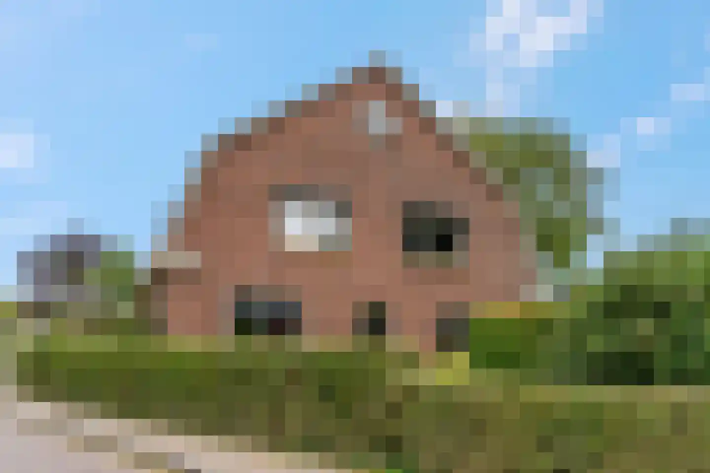 Kerkstraat 18 Doornenburg thumbnail 6