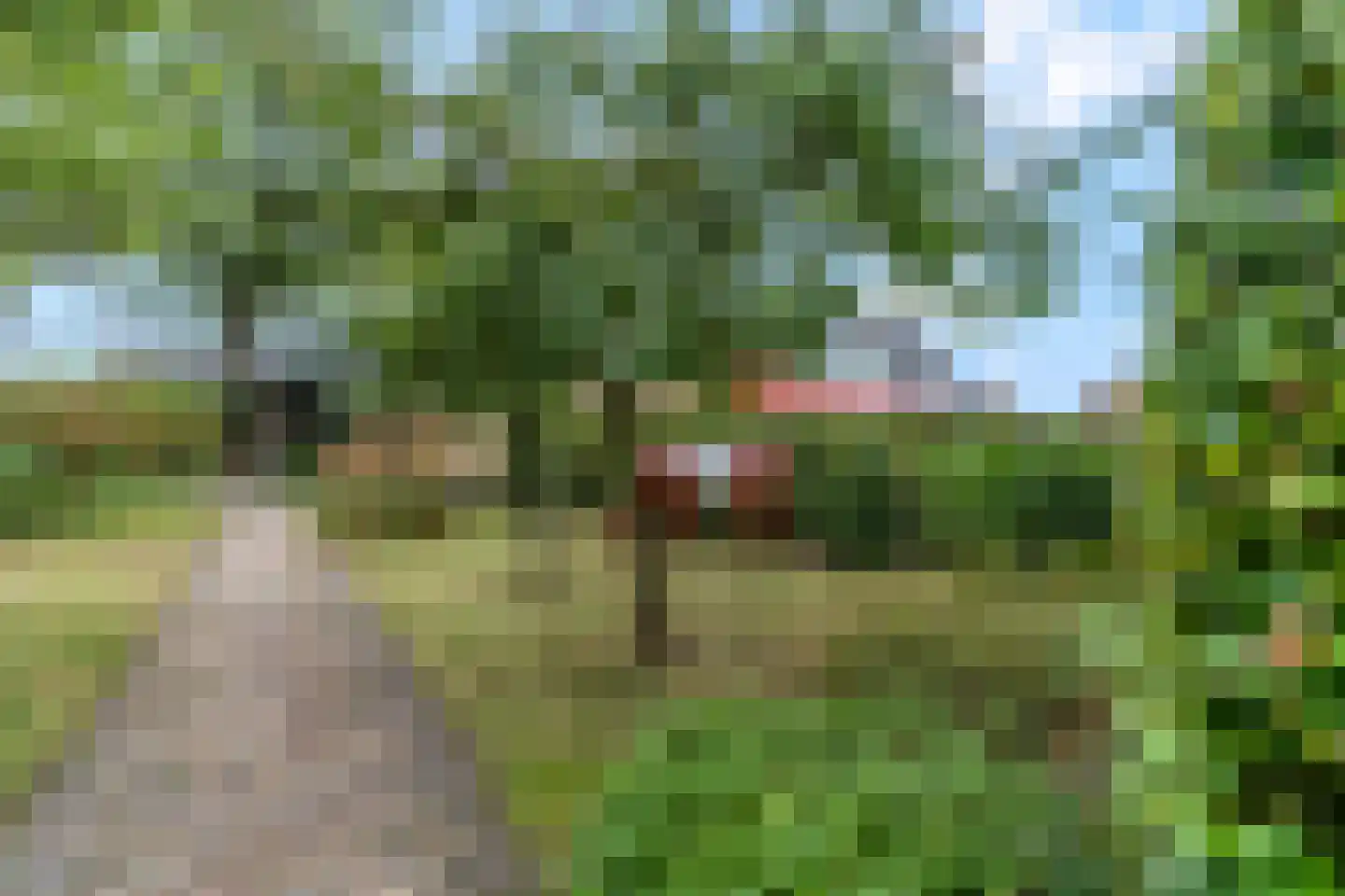 Kerkstraat 18 Doornenburg thumbnail 61