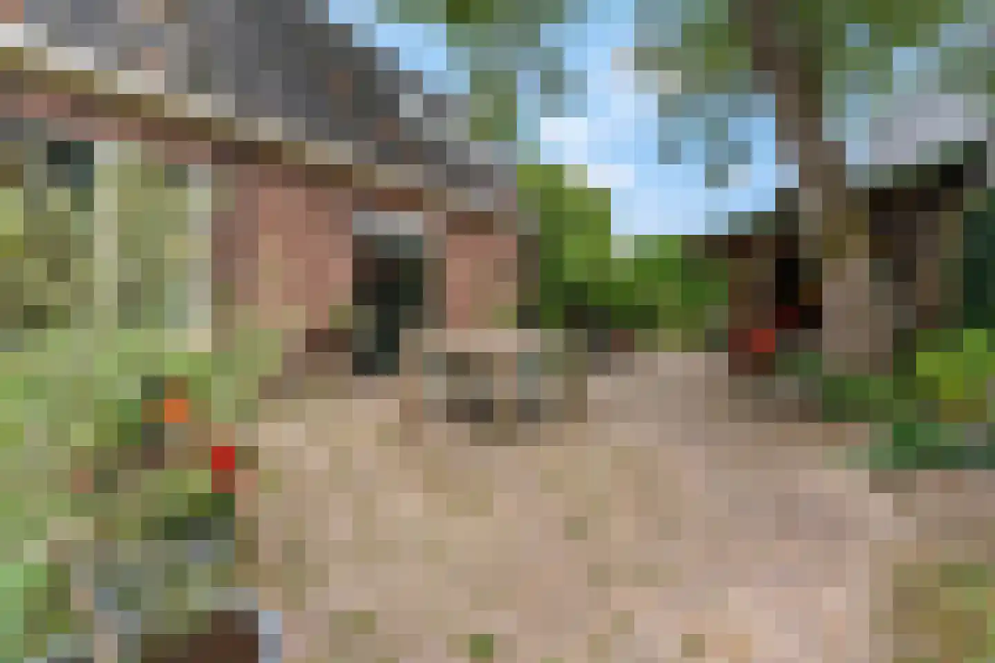 Kerkstraat 18 Doornenburg thumbnail 65