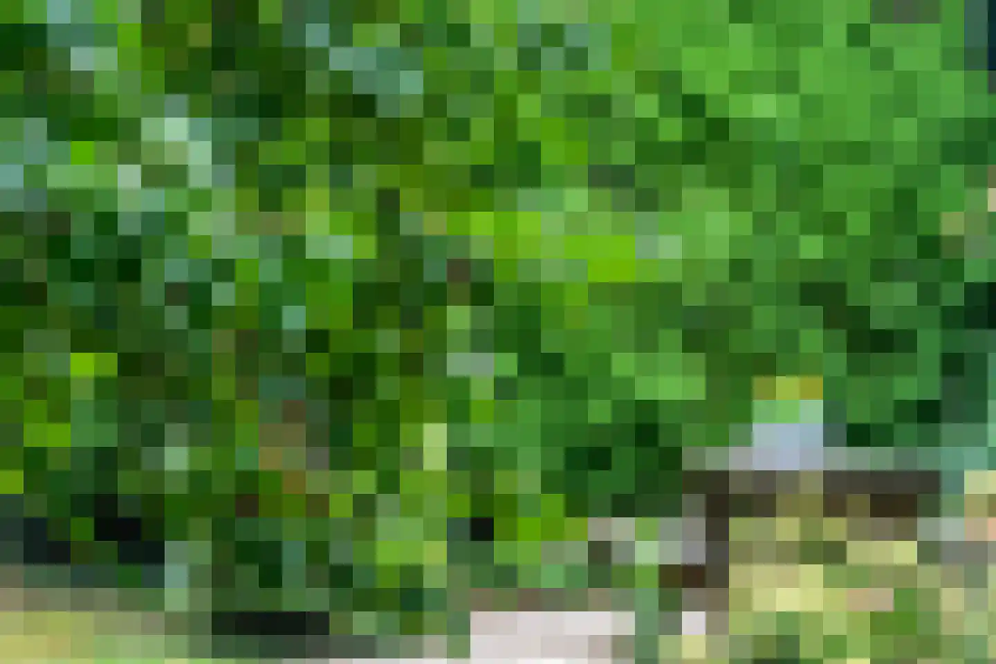 Kerkstraat 18 Doornenburg thumbnail 69