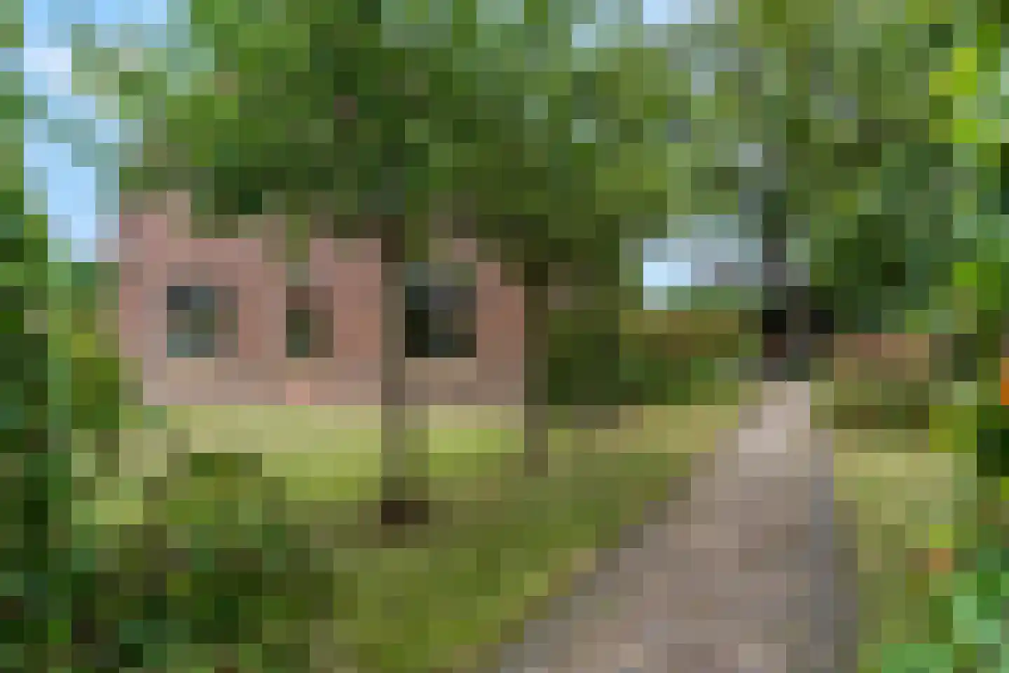 Kerkstraat 18 Doornenburg thumbnail 74