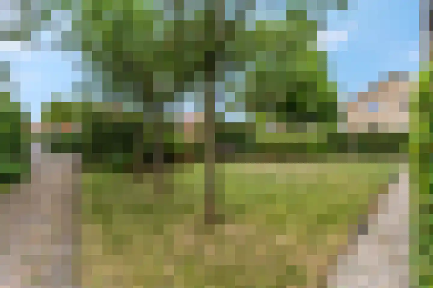 Kerkstraat 18 Doornenburg thumbnail 75