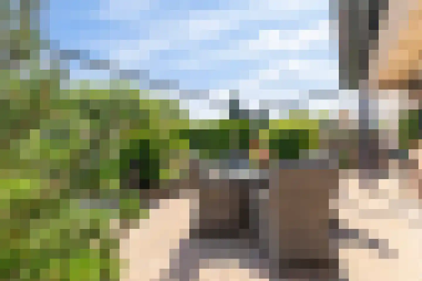 Kerkstraat 18 Drempt thumbnail 11