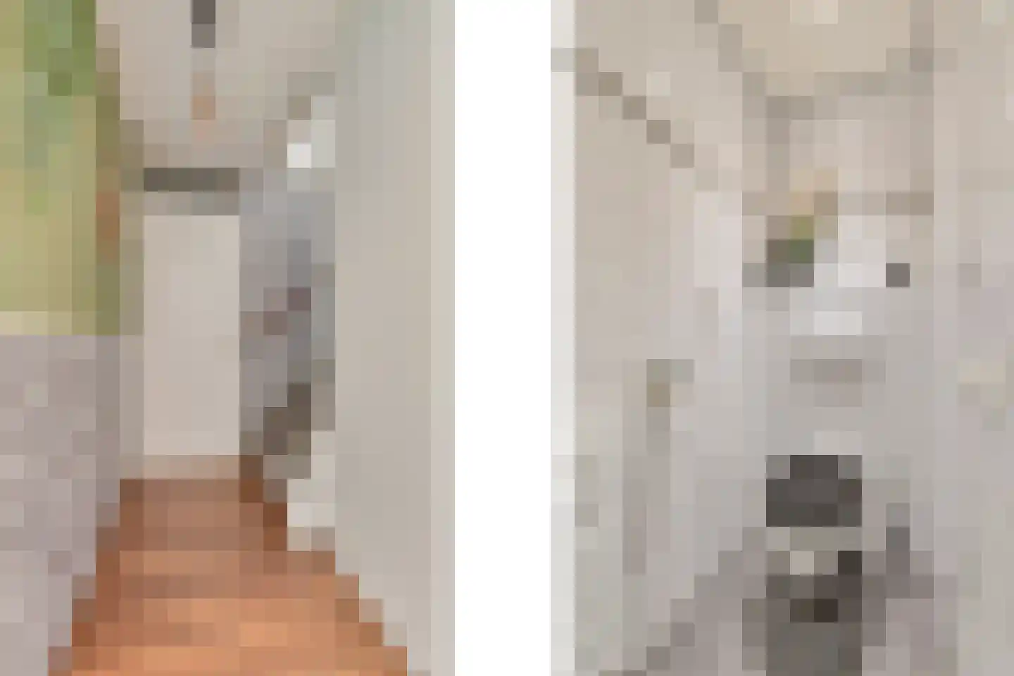 Kerkstraat 18 Drempt thumbnail 19