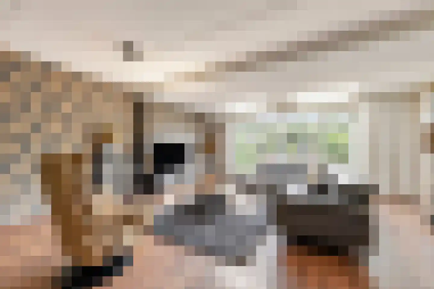 Kerkstraat 18 Drempt thumbnail 5