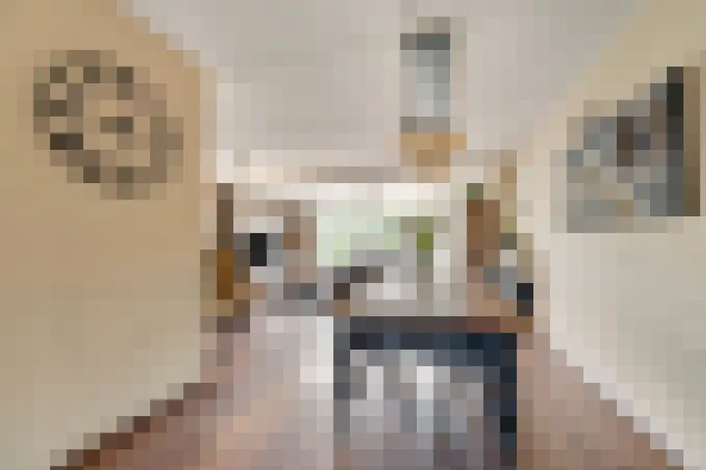 Kerkstraat 18 Drempt thumbnail 6