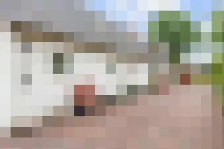 Kerkstraat 18 Haulerwijk thumbnail 31