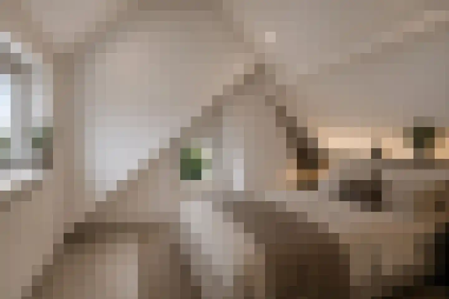 Kerkstraat 18 Lage Zwaluwe thumbnail 19