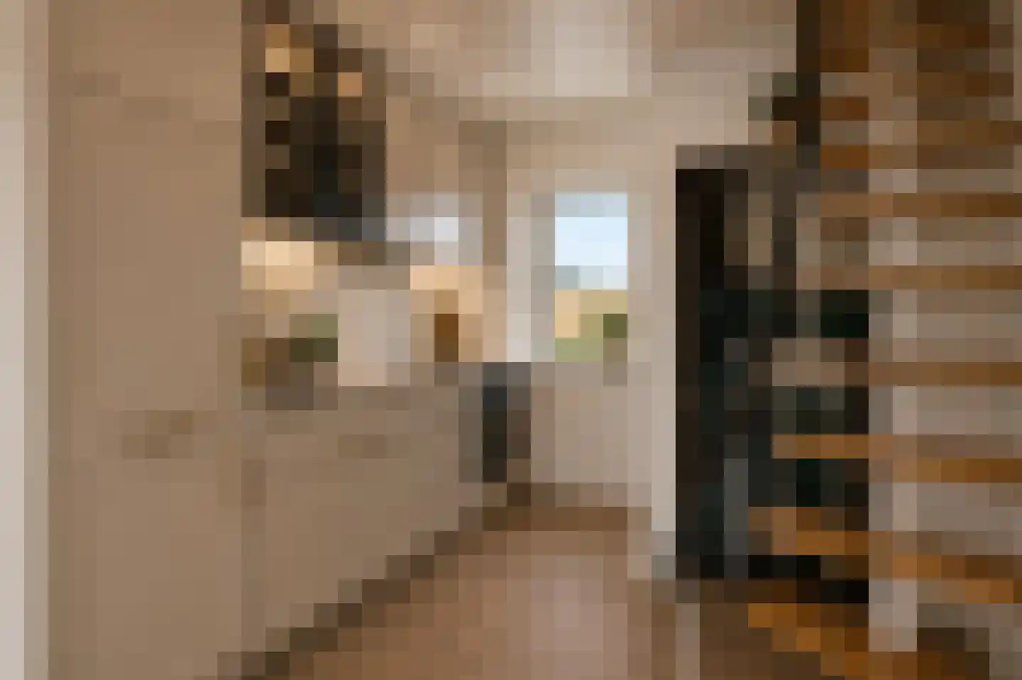 Kerkstraat 18 Lage Zwaluwe thumbnail 9