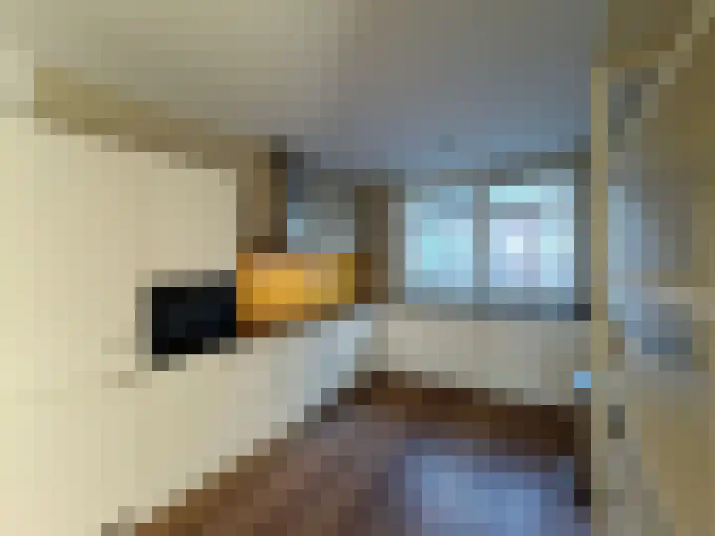 Kerkstraat 18 Landsmeer thumbnail 13