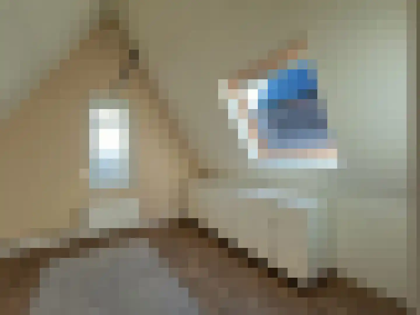 Kerkstraat 18 Landsmeer thumbnail 45