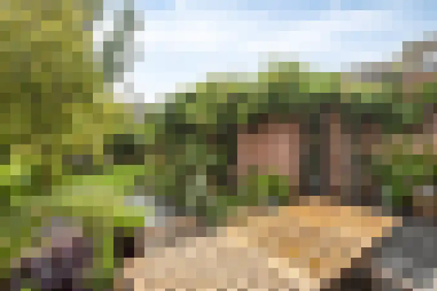 Kerkstraat 18 Loon op Zand thumbnail 30