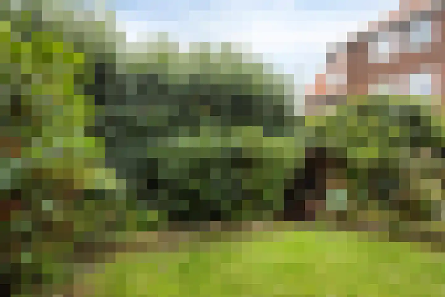Kerkstraat 18 Loon op Zand thumbnail 31