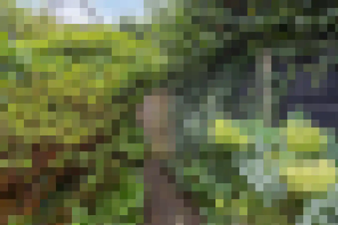 Kerkstraat 18 Loon op Zand thumbnail 32