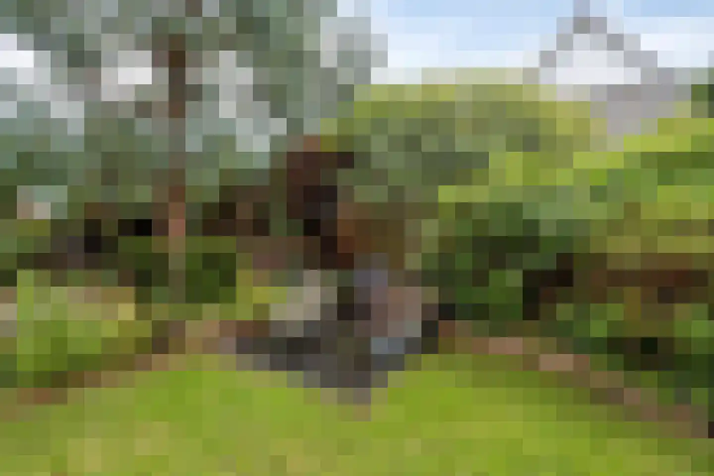 Kerkstraat 18 Loon op Zand thumbnail 33