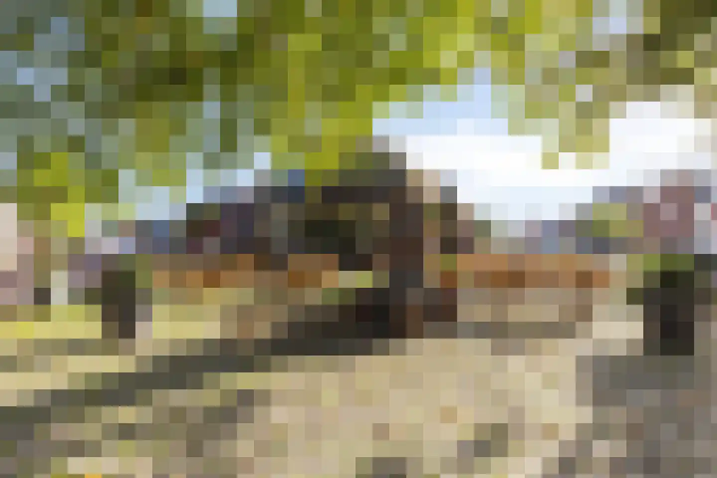Kerkstraat 18 Loon op Zand thumbnail 37